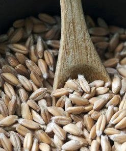 Nicolas Vahé Organic Pearled Emmer