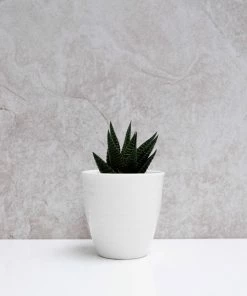 Chalk UK Off-White Porcelain Pot