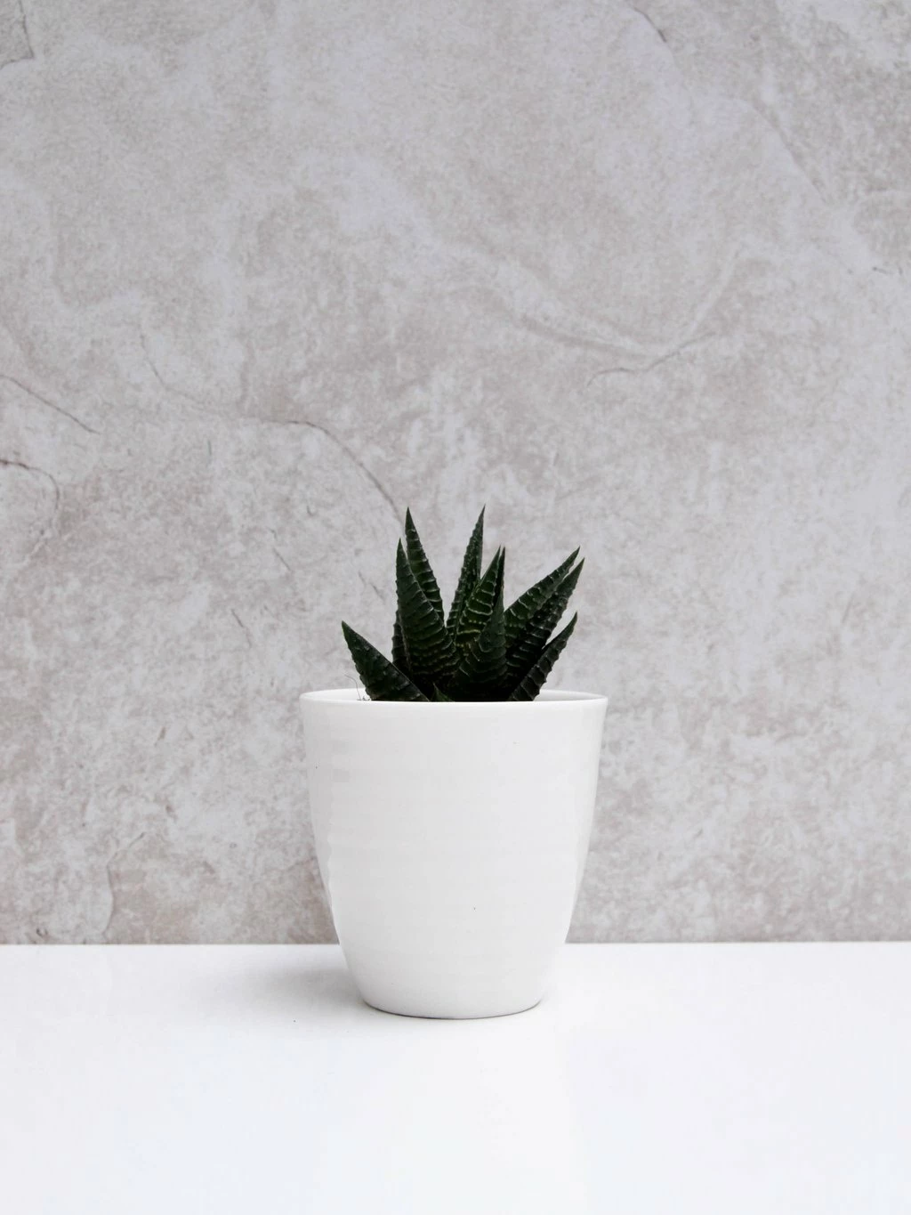 Chalk UK Off-White Porcelain Pot 4 Chalk UK Off-White Porcelain Pot