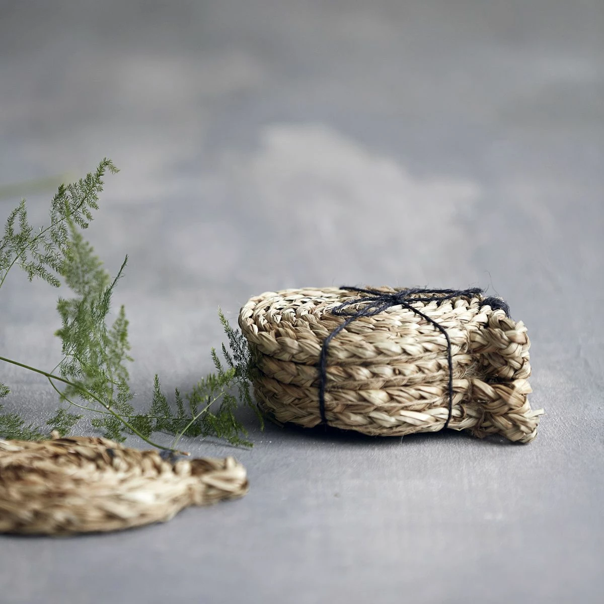 Nicolas Vahé Coaster, Acain, Nature 5 Nicolas Vahé Coaster, Acain, Nature