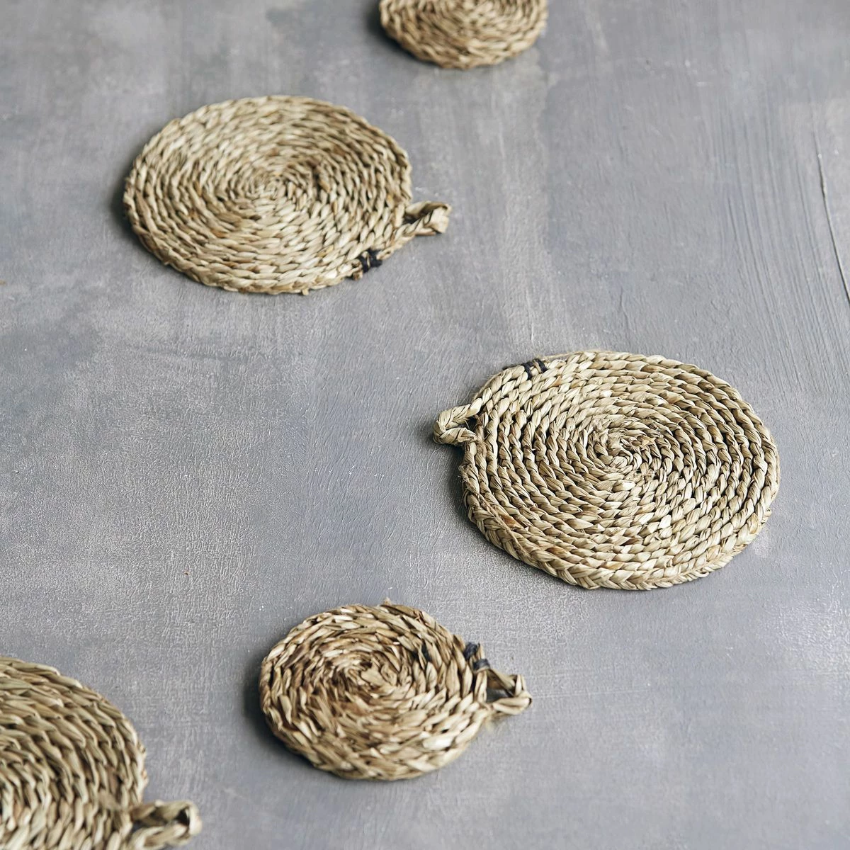 Nicolas Vahé Coaster, Acain, Nature 6 Nicolas Vahé Coaster, Acain, Nature